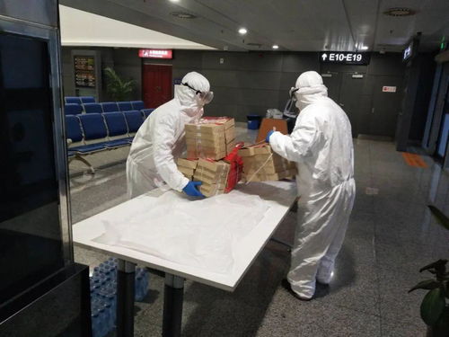 空港食品公司運(yùn)行保障部順利完成入境分流進(jìn)京航班食品經(jīng)營(yíng)保障任務(wù)